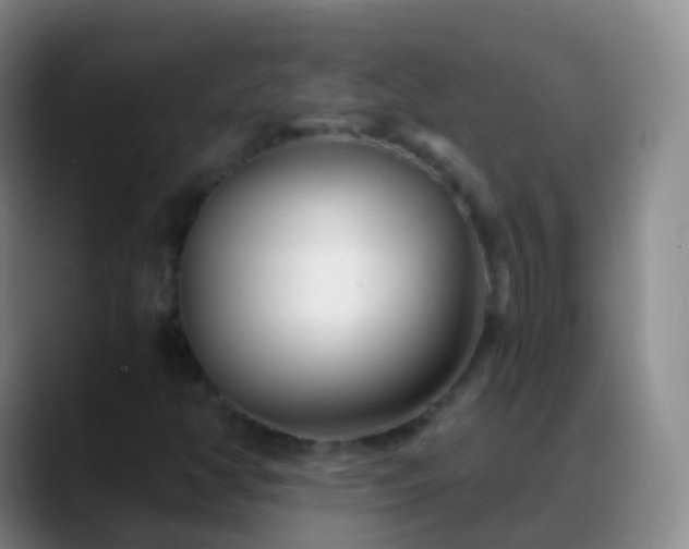 X0000088891350200706151822