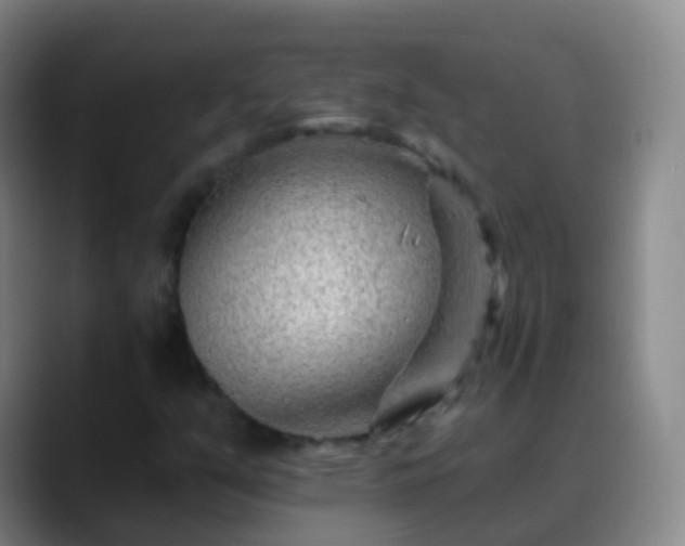 X0000088891351200706151822