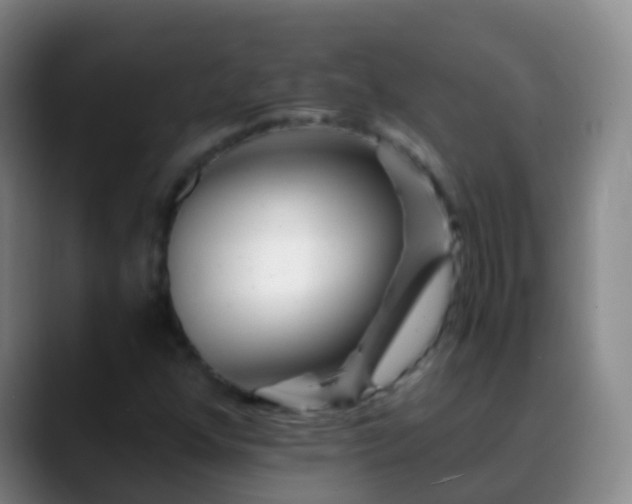 X0000088891352200706151822