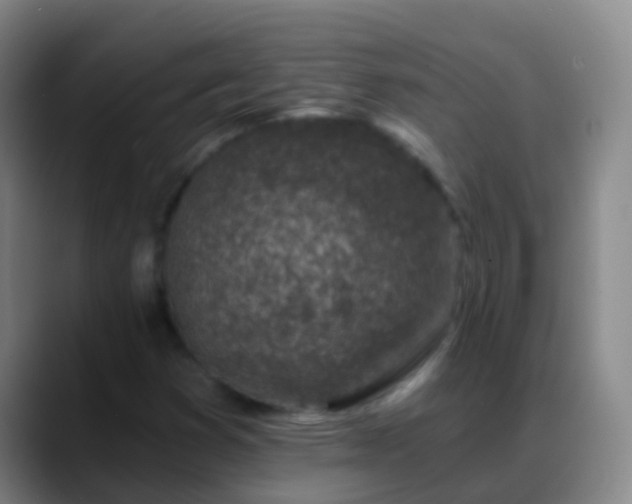 X0000088891353200706151822