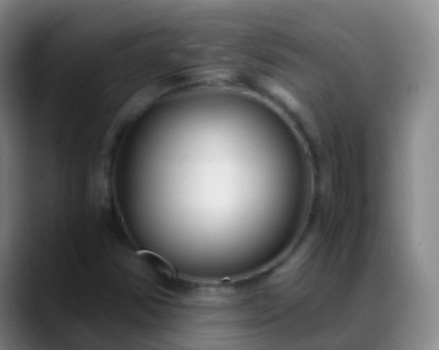 X0000088891354200706151822