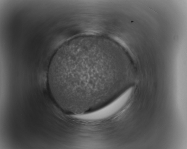 X0000088891355200706151822