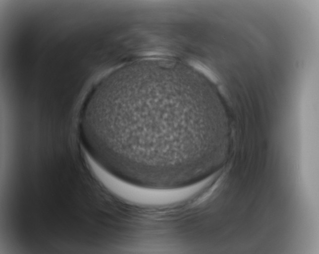 X0000088891357200706151822