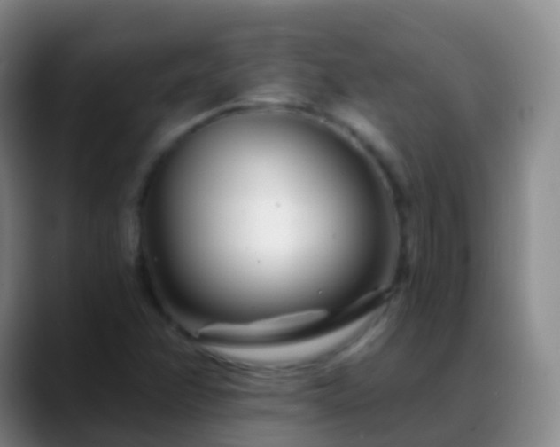 X0000088891358200706151822