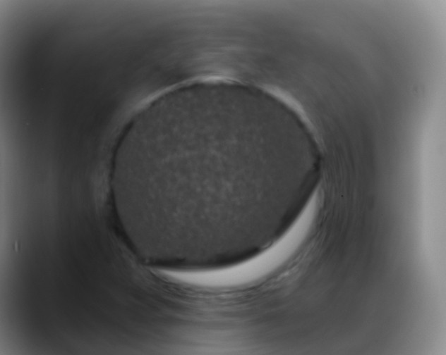 X0000088891359200706151822