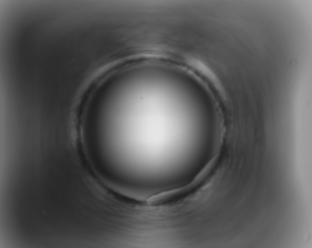 X0000088891360200706151822