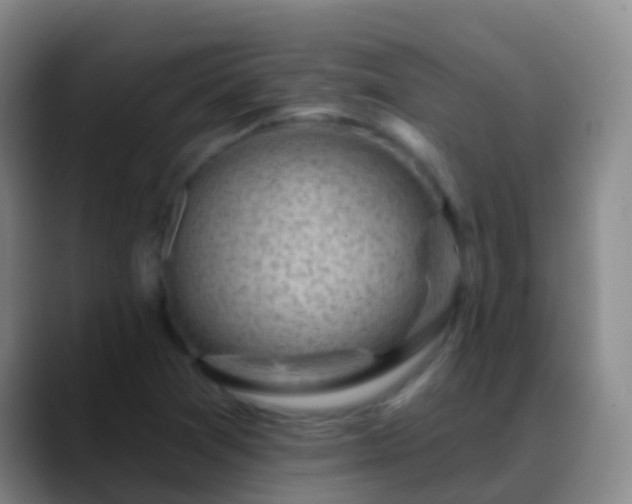 X0000088891361200706151822