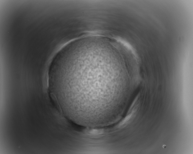 X0000088891365200706151822