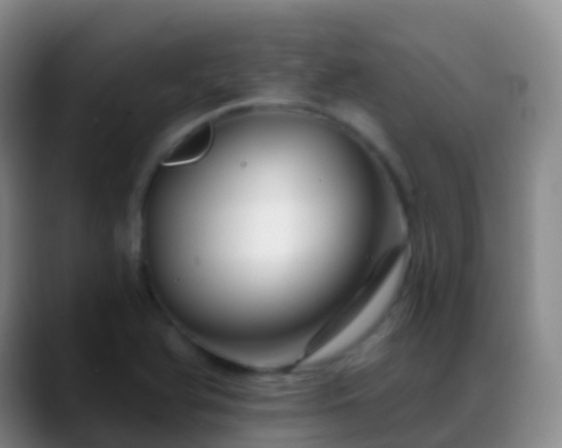 X0000088891366200706151822