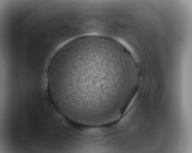 X0000088891367200706151822