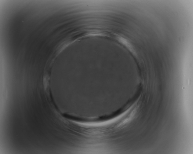 X0000088891369200706151822