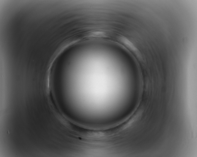 X0000088891370200706151822