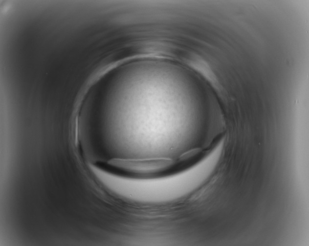 X0000088891371200706151822