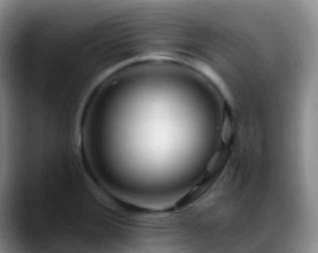 X0000088891372200706151822