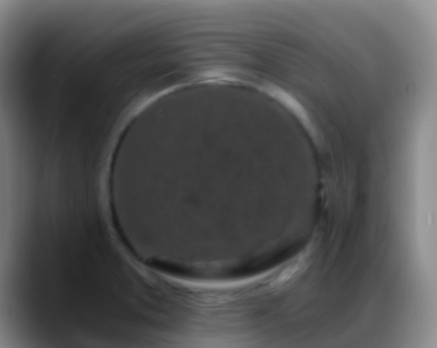 X0000088891373200706151822