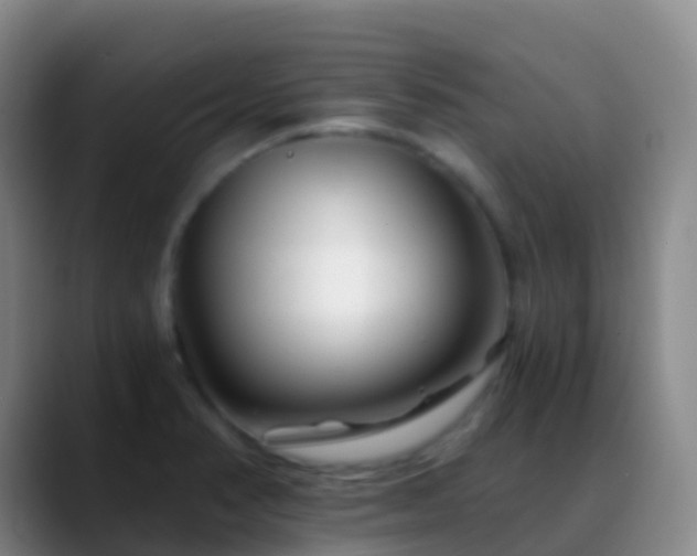 X0000088891374200706151822