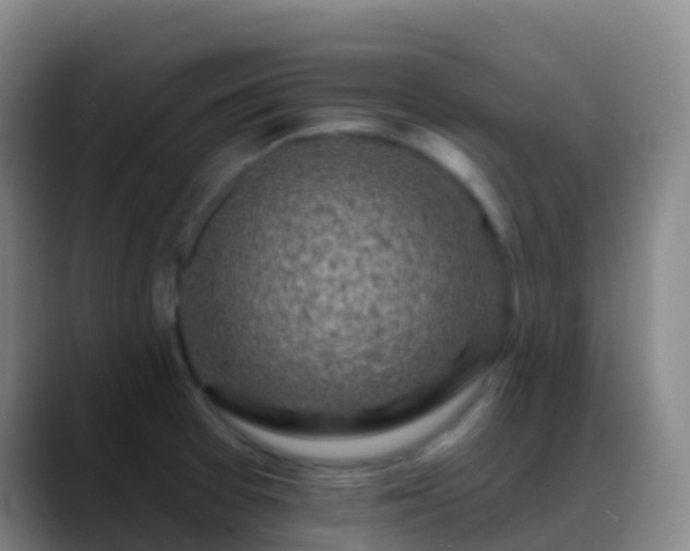 X0000088891377200706151822