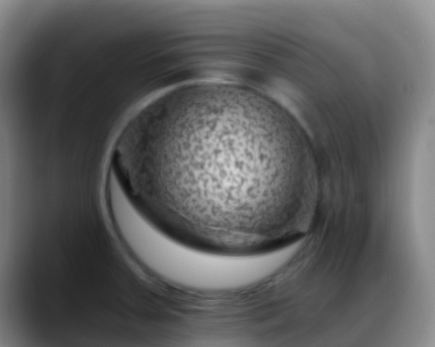 X0000088891379200706151822