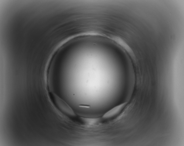 X0000088891380200706151822