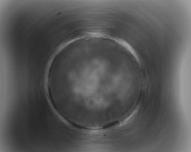 X0000088891381200706151822