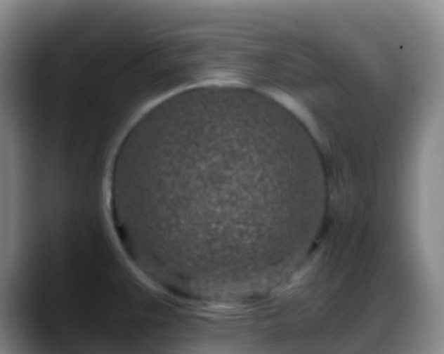 X0000088891383200706151822