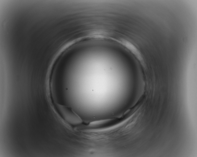 X0000088891384200706151822