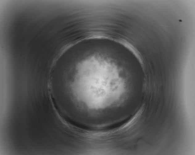 X0000088891385200706151822