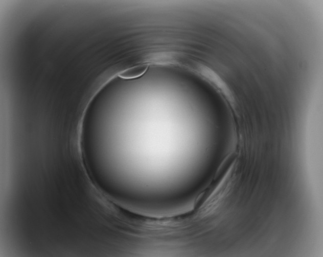 X0000088891386200706151822