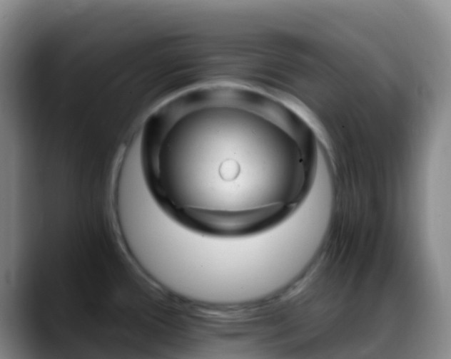 X0000088891388200706151822