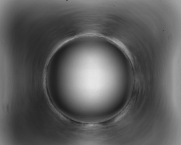 X0000088891390200706151822