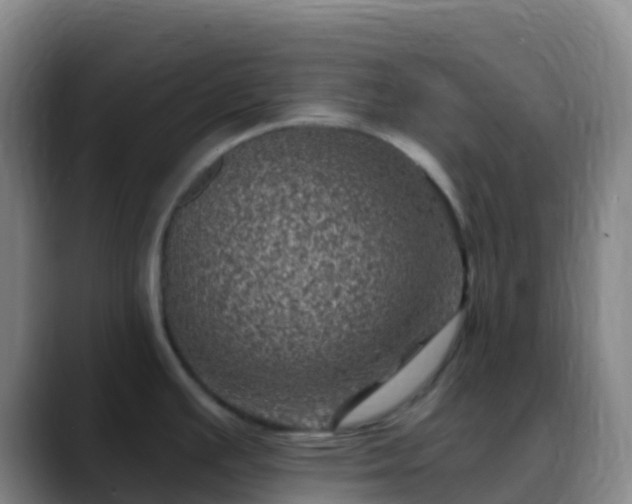 X0000088891391200706151822