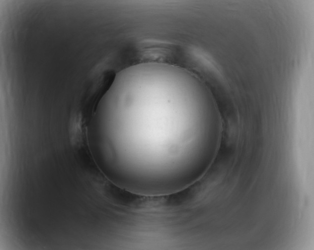 X0000088891394200706151821