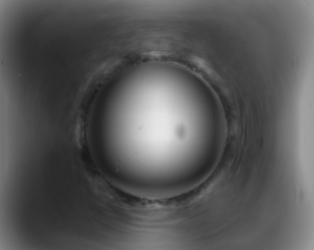 X0000088891398200706151821