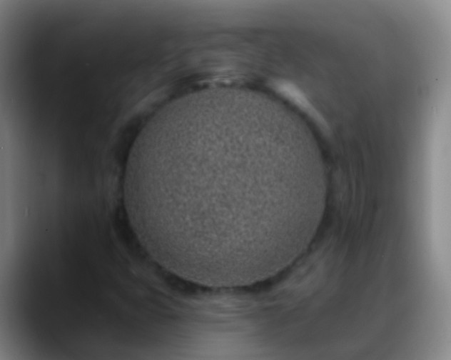 X0000088891399200706151821