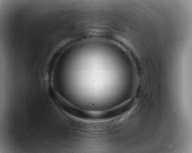 X0000088891402200706151821