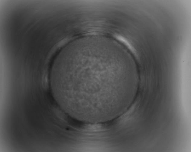 X0000088891403200706151821