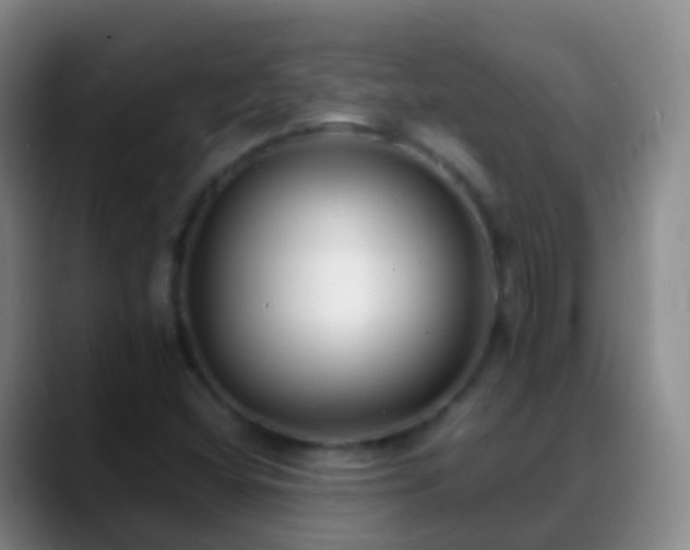 X0000088891404200706151821