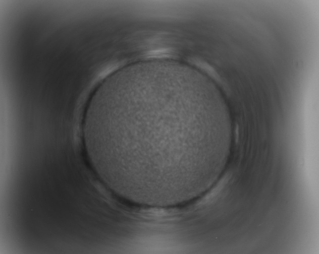 X0000088891405200706151821