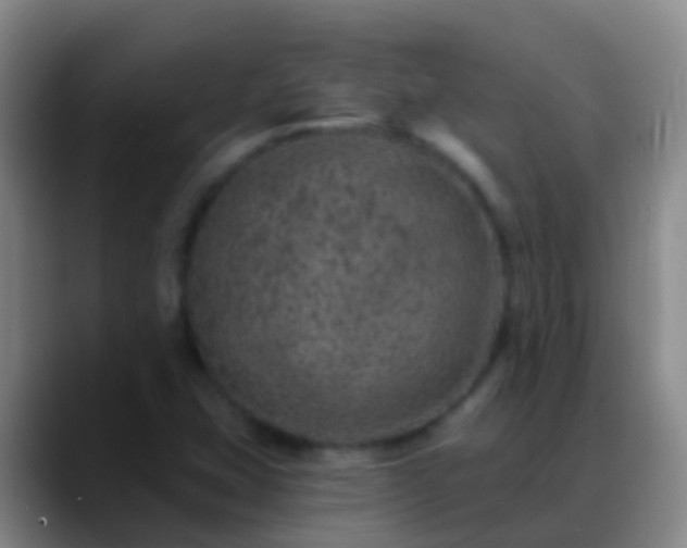 X0000088891407200706151821