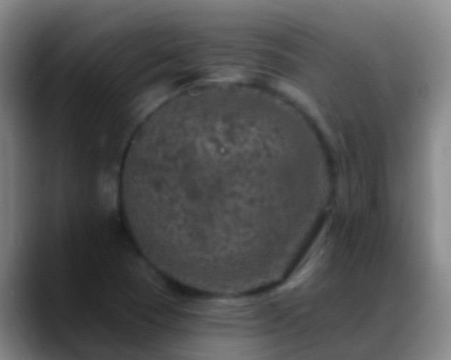 X0000088891409200706151821