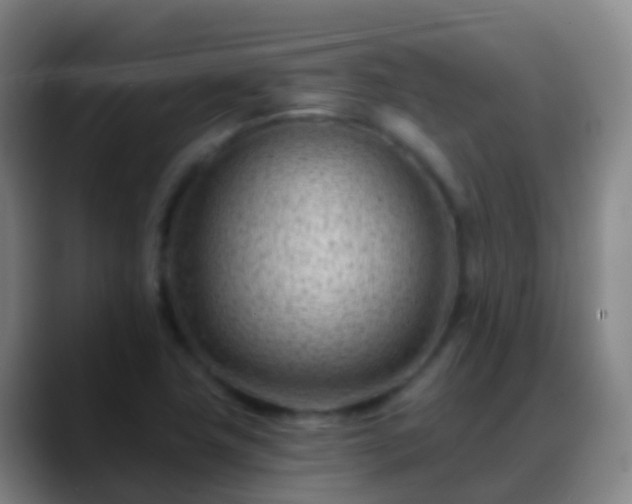 X0000088891411200706151821