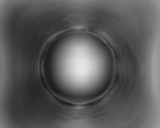 X0000088891412200706151821