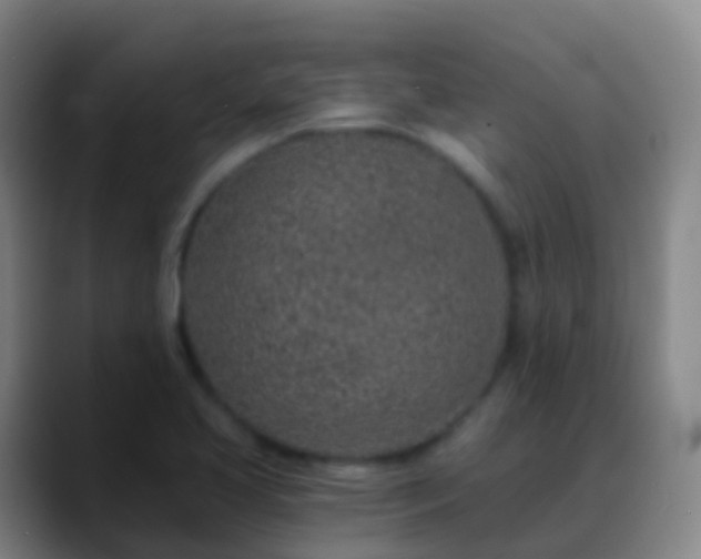 X0000088891413200706151821