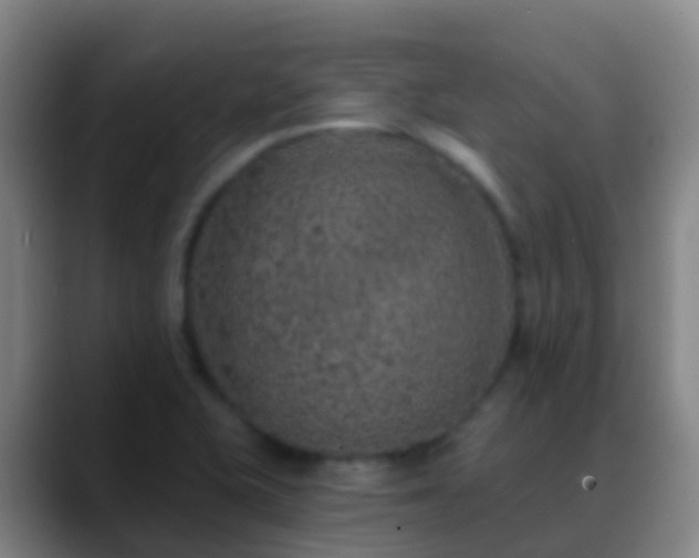 X0000088891415200706151821