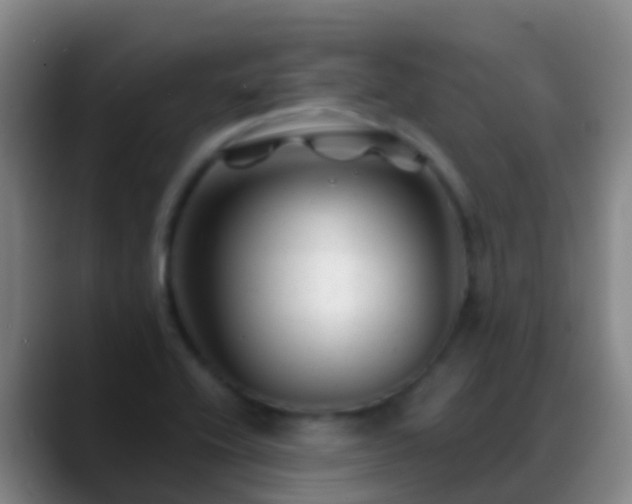 X0000088891416200706151821