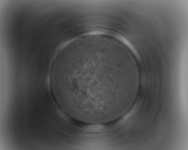 X0000088891417200706151821