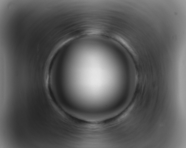 X0000088891418200706151821