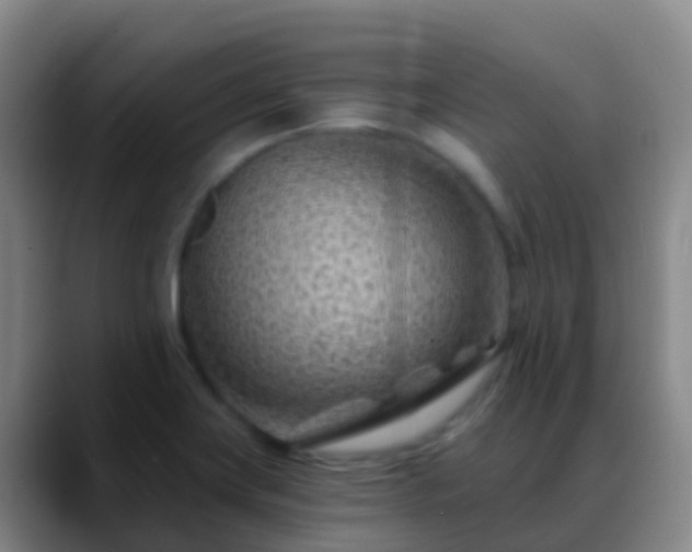 X0000088891419200706151821