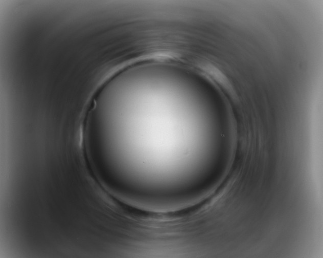 X0000088891420200706151821