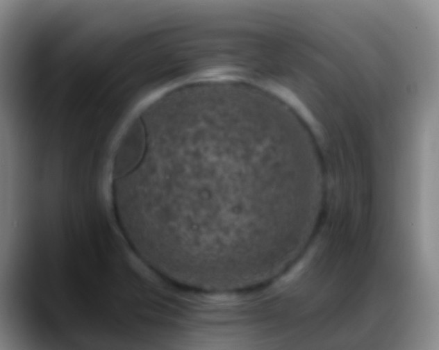 X0000088891421200706151821